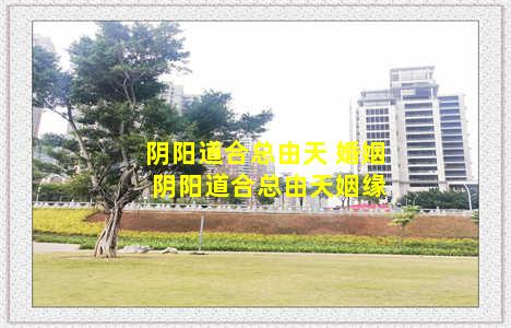 阴阳道合总由天 婚姻 阴阳道合总由天姻缘